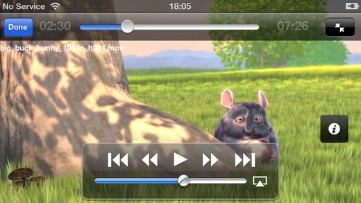flash video plyer for iPhone