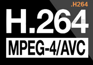 h264 icon