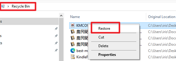 restore from recycle bin