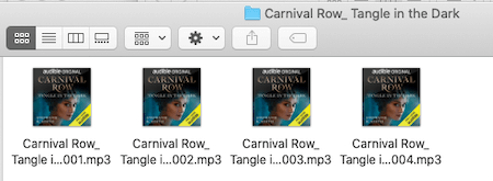 convert audible in mp3 by chapters