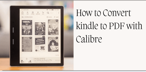 convertir le Kindle en PDF