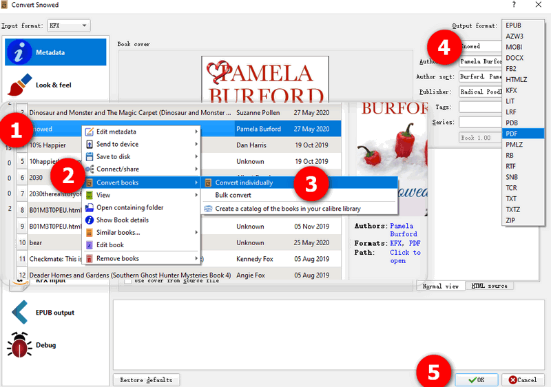 convertir le Kindle en PDF