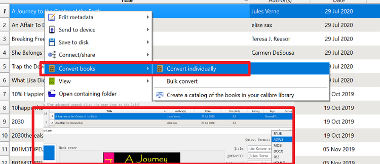 convert kobo books calibre