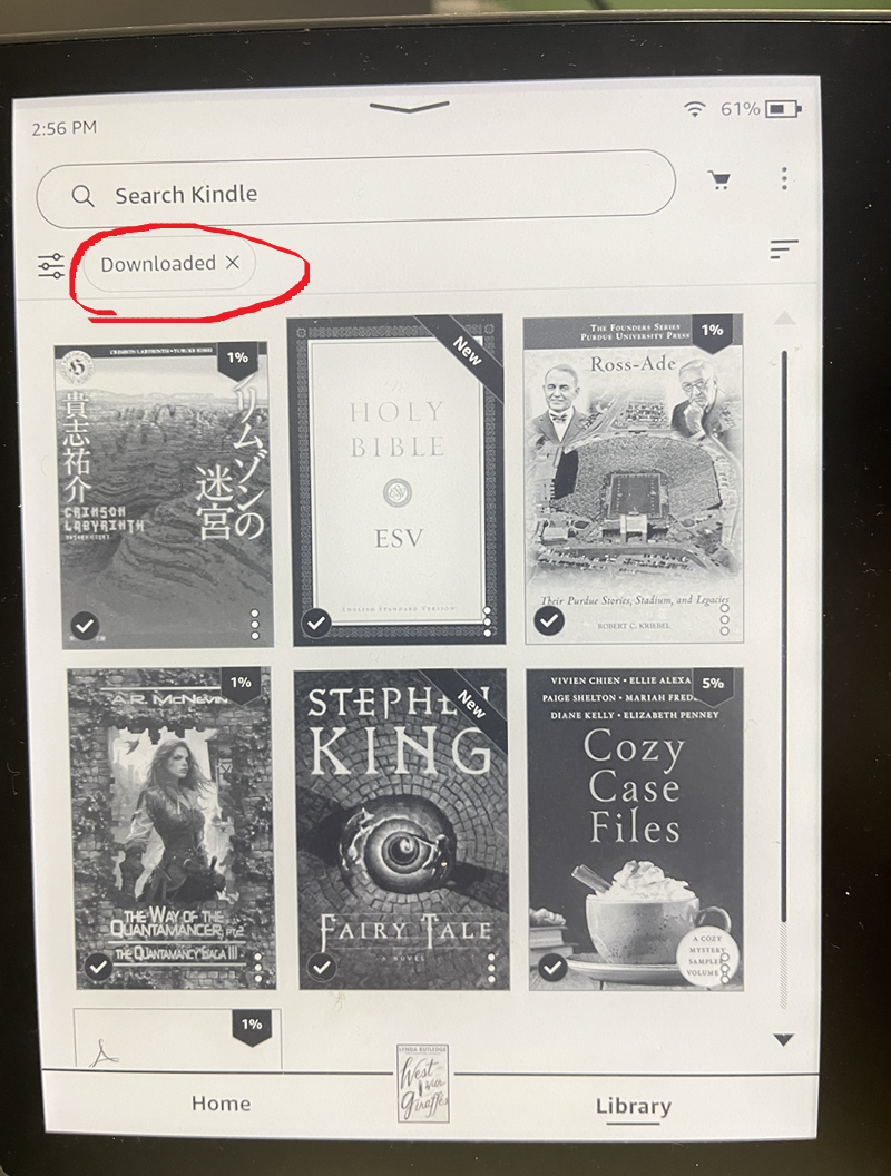 downloaded kindle books