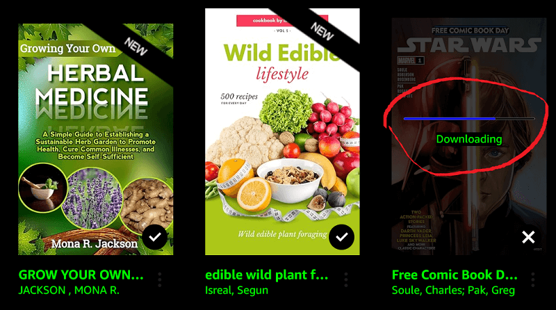 downloading kindle books