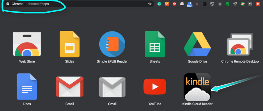 kindle cloud reader app