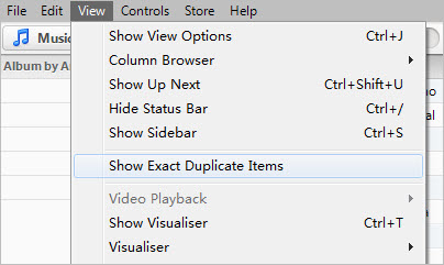show exact duplicate songs